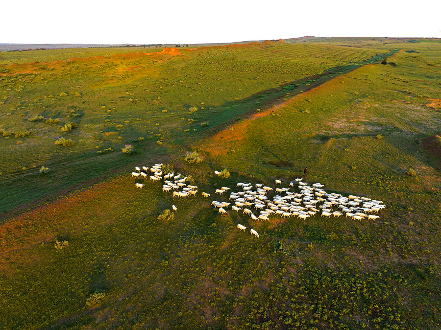 Hetao Plain