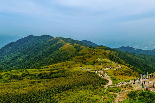 Project launched to revitalize Guangdong's Luofu Mountain