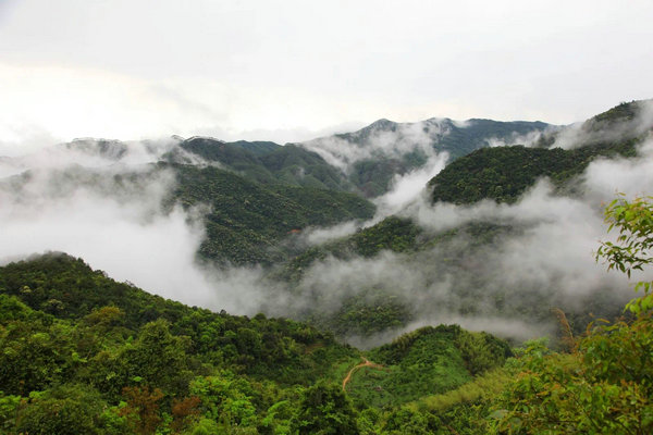 Project launched to revitalize Guangdongs Luofu Mountain(图2)