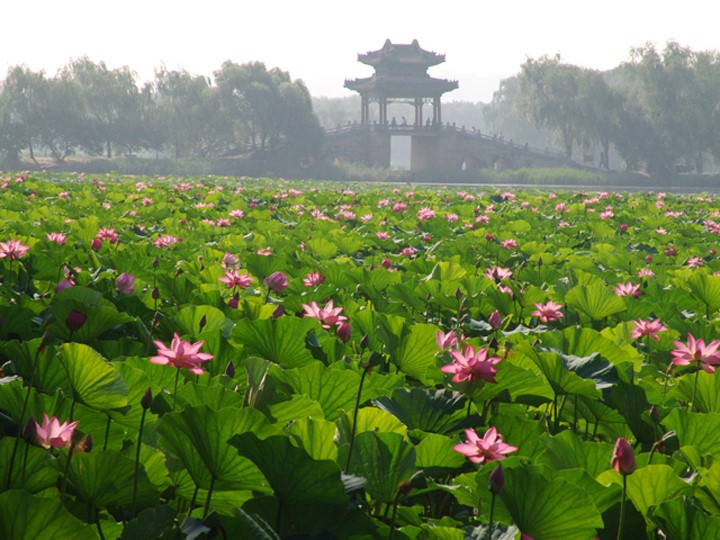 dd1464a806a54180ae44222a4e8daf29.jpg 75.jpg