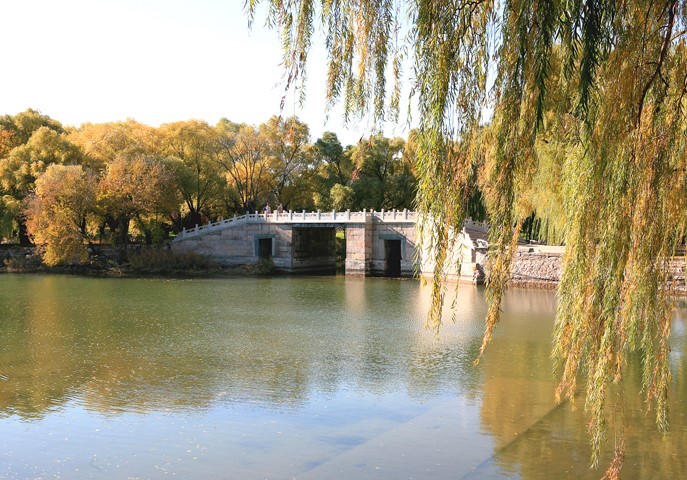 41f8fdeee9c74012965f28c6ccd19fc5.jpg 77.jpg